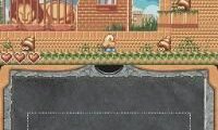 New Zealand Story DS (Japan)
