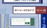 Nihongo Bunshou Nouryoku Kentei Kyoukai Kyouryoku – Tadashii Nihongo DS (Japan)
