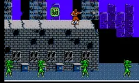 Ninja Crusaders – Ryuuga (Japan)
