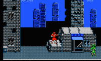 Ninja Crusaders (USA)