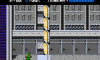Ninja Gaiden in Hell