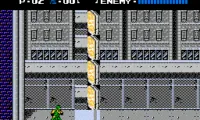 Ninja Gaiden in Hell