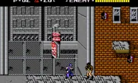 Ninja Gaiden Trilogy (USA)