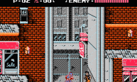 Ninja Gaiden (USA)