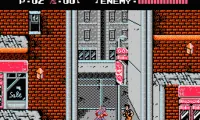 Ninja Gaiden (USA)