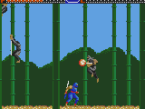 Ninja Gaiden (USA, Europe)