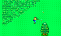 Ninja (Japan)