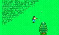 Ninja (Japan)