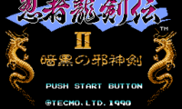 Ninja Ryukenden II – Ankoku no Jashin Ken – RIP enemies