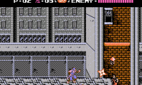 Ninja Ryukenden (Japan)