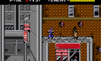 Ninja Ryuukenden Tomoe (Japan)