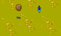 Ninja, The (USA, Europe)