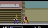 Ninja Warriors, The (Japan)