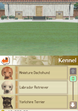 Nintendogs – Best Friends (USA)