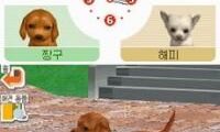 Nintendogs – Chihuahua & Chingudeul (Korea)