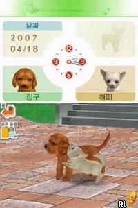Nintendogs – Chihuahua & Chingudeul (Korea)