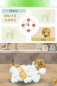 Nintendogs – Chihuahua & Friends (Europe) (En,Fr,De,Es,It)
