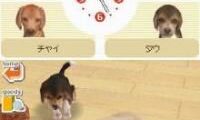 Nintendogs – Chihuahua & Friends (Japan)