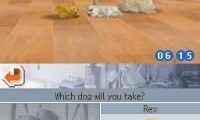 Nintendogs – Chihuahua & Friends (USA)