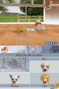 Nintendogs – Chihuahua & Friends (USA)