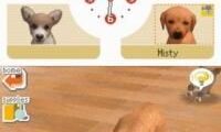 Nintendogs – Dachshund & Friends (Europe) (En,Fr,De,Es,It)