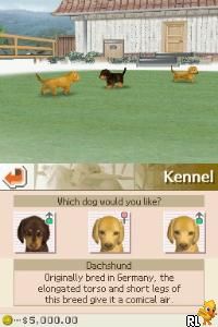 Nintendogs – Dachshund & Friends (USA)