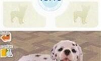 Nintendogs – Dalmatian & Friends (Europe) (En,Fr,De,Es,It)
