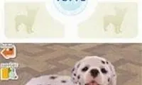 Nintendogs – Dalmatian &amp; Friends (Europe) (En,Fr,De,Es,It)