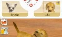 Nintendogs – Lab & Friends (USA)