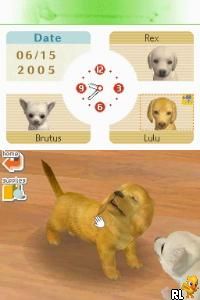 Nintendogs – Lab & Friends (USA)