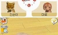 Nintendogs – Labrador & Chingudeul (Korea)