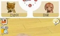 Nintendogs – Labrador &amp; Chingudeul (Korea)