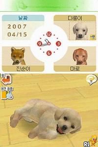 Nintendogs – Labrador & Chingudeul (Korea)