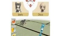 Nintendogs – Labrador & Friends (Europe) (En,Fr,De,Es,It)