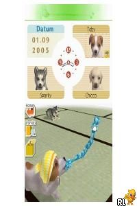 Nintendogs – Labrador & Friends (Europe) (En,Fr,De,Es,It)