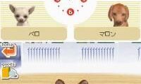Nintendogs – Shiba & Friends (Japan)