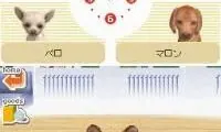 Nintendogs – Shiba &amp; Friends (Japan)