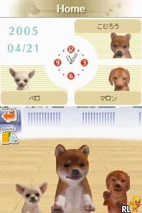 Nintendogs – Shiba & Friends (Japan)