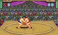 Oozumou Damashii (Japan)