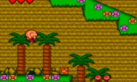 PC Genjin 2 – Pithecanthropus Computerurus (Japan)