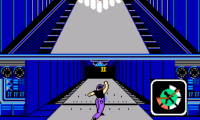 Perfect Bowling (Japan)