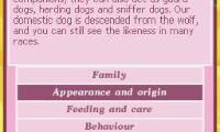 Pet Adoption Center (USA) (En,Fr,De,Nl)