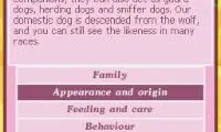 Pet Adoption Center (USA) (En,Fr,De,Nl)