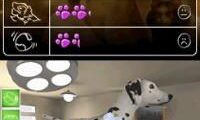 Pet Pals – Animal Doctor (USA)