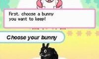 Petz – Bunnyz (USA) (En,Fr,De,Es,It,Nl)