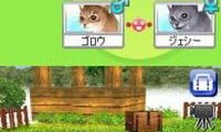 Petz – Catz – Koneko to Issho ni Tanoshiku Asobou (Japan)