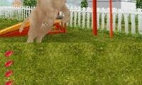 Petz – Dogz Talent Show (USA) (En,Fr,De,Es,It)