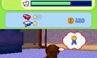 Petz – Fashion Stars (Europe) (En,Fr,De,Es,It,Nl)