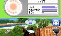 Petz – Horsez – Kouma to Issho ni Tanoshiku Asobou (Japan)