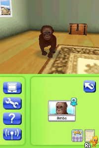 Petz – My Monkey Family (Europe) (En,Fr,De,Es,It,Nl,Sv,No,Da)